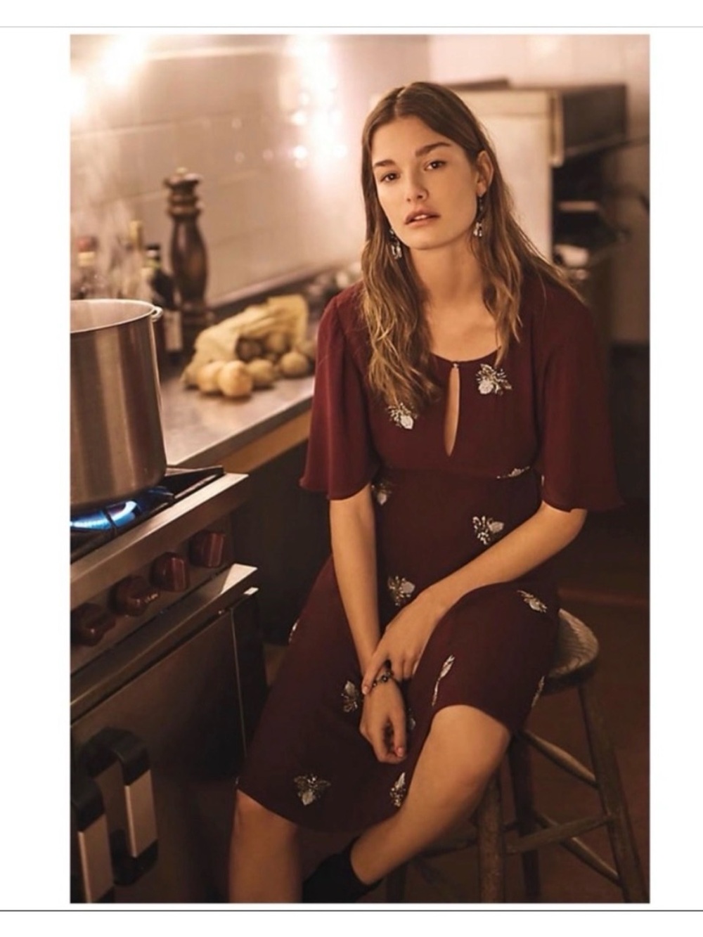 Anthropologie Moulinette Soeurs Beaded Firefly Dress - Picture 6 of 13